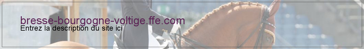 bresse-bourgogne-voltige.ffe.com